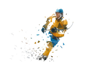 Wall Mural - Ice hockey player, isolated low poly vector illustration with distortion effect, front view. Winter team sports, ice hockey
