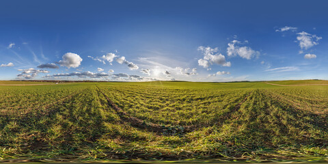Wall Mural - spherical 360 hdri panorama on agro field with clouds and sun on blue sky in equirectangular seamles