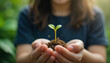© Gianpiero - A close-up of hands gently holding a small seedling with soil, representing sustainability, growth, and care for the environment in natural surroundings