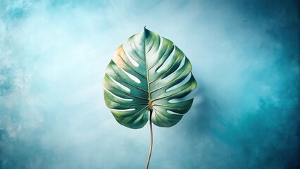 Wall Mural - Serene Tropical Leaf on a Textured Azure Background A Study in Natural Elegance and Tranquil Hues