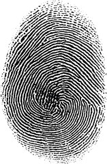 human fingerprints set. biomimetic fingermark. authentication logo ideas. biometric human fingerprin