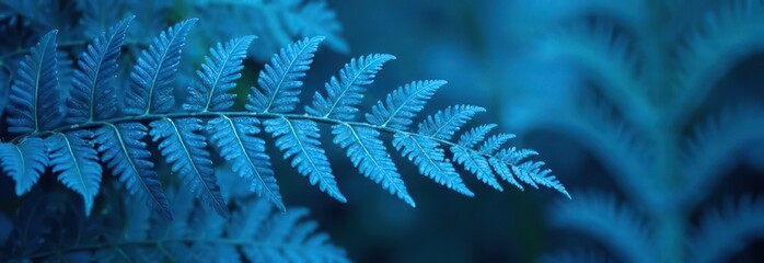 Wall Mural - Blue nature background. Toned fern leaves. Background for design.