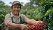 © Old Man Stocker - Coffee farmer smiling while holding freshly harvested coffee cherries in lush green plantation during bright day, showcasing dedication and hard work in agriculture