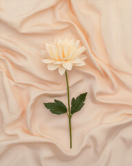 Poster - An elegant minimalist backdrop of folded silk fabric and one small flower bud lying in the center,