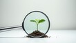 © yuntunen - Seedling observed through a magnifying glass on soil backdrop