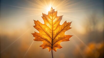 Leinwandbilder - Golden Autumn Leaf Backlit by the Rising Sun's Rays
