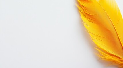 Aufkleber - Close-up of a vibrant yellow feather reveals its intricate texture and patterns, highlighting the beauty and uniqueness of bird feathers on a white surface