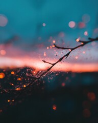 Poster - Ethereal Dreamscape Twilight Spider Web Illumination - Macro Bokeh Nature Capturing Delicate Environmental Resilience and Digital Zen Aesthetic