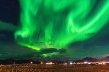beautiful aurora borealis over house on the island of kvaløya, dancing northern lights with green li