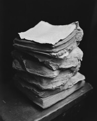 Poster - Nostalgic Knowledge Preservation Dreams of Reason Feast Day Vintage Book Archive - Scholarly Heritage and Archival Storytelling in Monochrome Artistry