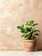 © APRILIANAWATI - Green plant in terracotta pot against textured wall