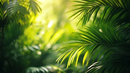 A rich green close-up of tropical tree details.