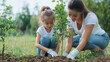 © pattozher - Planting Seeds of Hope: A heartwarming moment of intergenerational connection as a mother and daughter work together, planting a young tree in a garden setting.