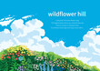 © 하진 박 - a hill full of clear skies and wild flowers