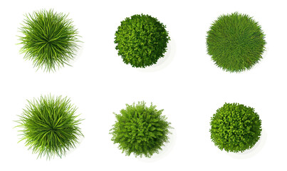 Wall Mural - minimalist top view grass bush set on white background vector illustration