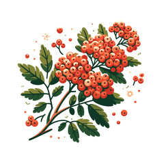 Wall Mural - Orange rowan berries branch with green leaves in botanical style. Ideal for autumn harvest themes, seasonal decor inspiration, and natural element graphic collections.