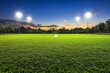 © ChaoticMind - Evening soccer field illuminated by floodlights under a sunset sky in a tranquil park setting