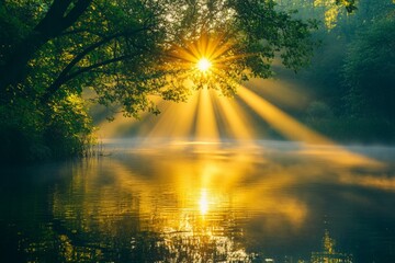 Aufkleber - Sunlight beams through trees over a calm river at dawn in a tranquil nature setting