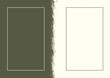 © g_oann - Olive background with space for text