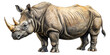 © Arthur - White Rhino Illustration - Isolated on White Background Transparent PNG AI Generated