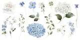 Watercolour floral illustration set. Blue white flowers green leaves individual elements collection. Hydrangea, myosotis, rose, peony, eucalyptus. Wedding invitation, prints fashion, bouquet, pattern.