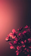 Wall Mural - pink flowers growing on dark red gradient background