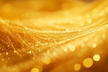 Fototapete - Golden strands illuminated by soft light create a mesmerizing texture in close-up display