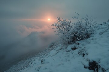 Aufkleber - Winter sunrise over snow-covered hills with frost-covered bushes in a cloudy atmosphere