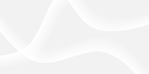 Wall Mural - abstract white background with gradient color and artistic dynamic line decoration