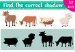 © Tatik22 - Brainteaser for kids. Farm animals. Bull, cow, pig and sheep. Find the correct shadow. Educational cards. Activity for preschoolers and toddlers.