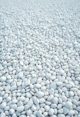Wall Mural - A pristine expanse of smooth, white pebbles forms a textured background, bright, element
