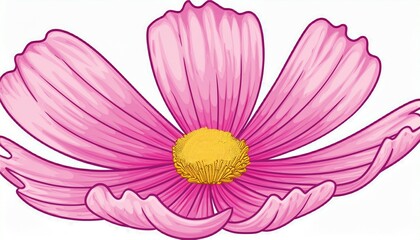 pink cosmos flower illustration isolated on white background