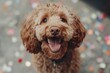 © ChaoticMind - Playful dog with a joyful expression surrounded by colorful confetti in a lively outdoor setting during a festive event
