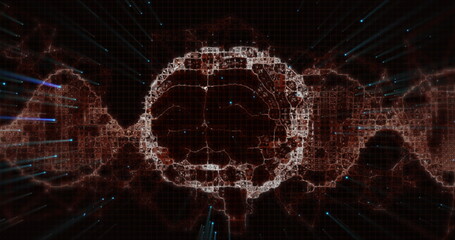 Wall Mural - image of dna strand spinning and digital brain model over black background