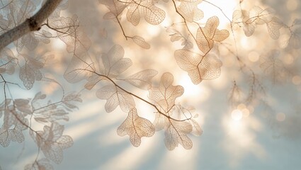 Wall Mural - delicate translucent leaves illuminated by soft sunlight in a serene outdoor setting