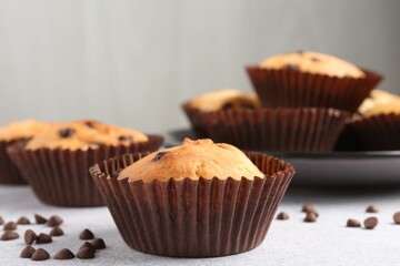 Wall Mural - delicious muffin with chocolate chips on light grey table, closeup