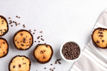 Wall Mural - delicious muffin with chocolate chips on light grey table, flat lay. space for text