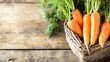 © lambada - Freshly harvested carrots with green tops inside a rustic basket