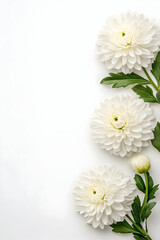 three white flowers arranged vertically on a white background, leaving ample copy space