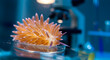 © RIOKO - Exotic nudibranch specimen in a petri dish examined under laboratory conditions