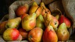 © Luis - A basket filled with colorful ripe pears nestled in burlap fabric perfect for culinary and ru