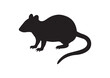 © Bismillah - Rat silhouette vector