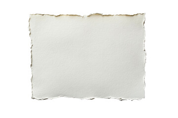 Wall Mural - piece of rough paper with ragged edge texture on black background, cut out transparent