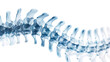 © yeewa - Spine: An abstract close-up of a human spine illuminated with an ethereal glow