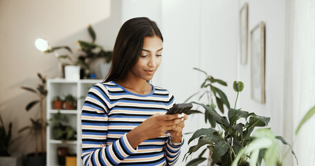Fototapete - Phone, house and Indian woman with online application, social media and college portal. Message, plants and girl student on mobile for university website, scholarship and communication in living room