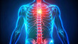 © NVisuals - 3D medical illustration of a human upper body with highlighted spine and chest pain area in red.
