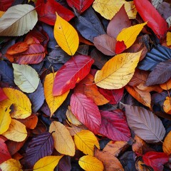 Aufkleber - A Tapestry of Autumn Hues: A Vibrant Close-Up of Fallen Leaves Displaying a Spectrum of Colors in the Forest Floor.