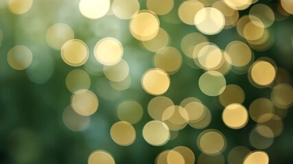 Wall Mural - Golden Bokeh Lights Floating Against Green Backdrop Creating A Soft Focus Atmosphere