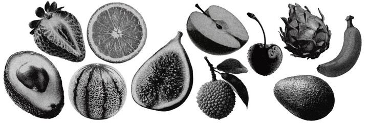 Wall Mural - set of fruit halftone grunge vector design elements