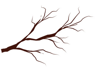 silouette of tree branch
